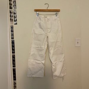 Aritzia Wilfred Free Utility Pants